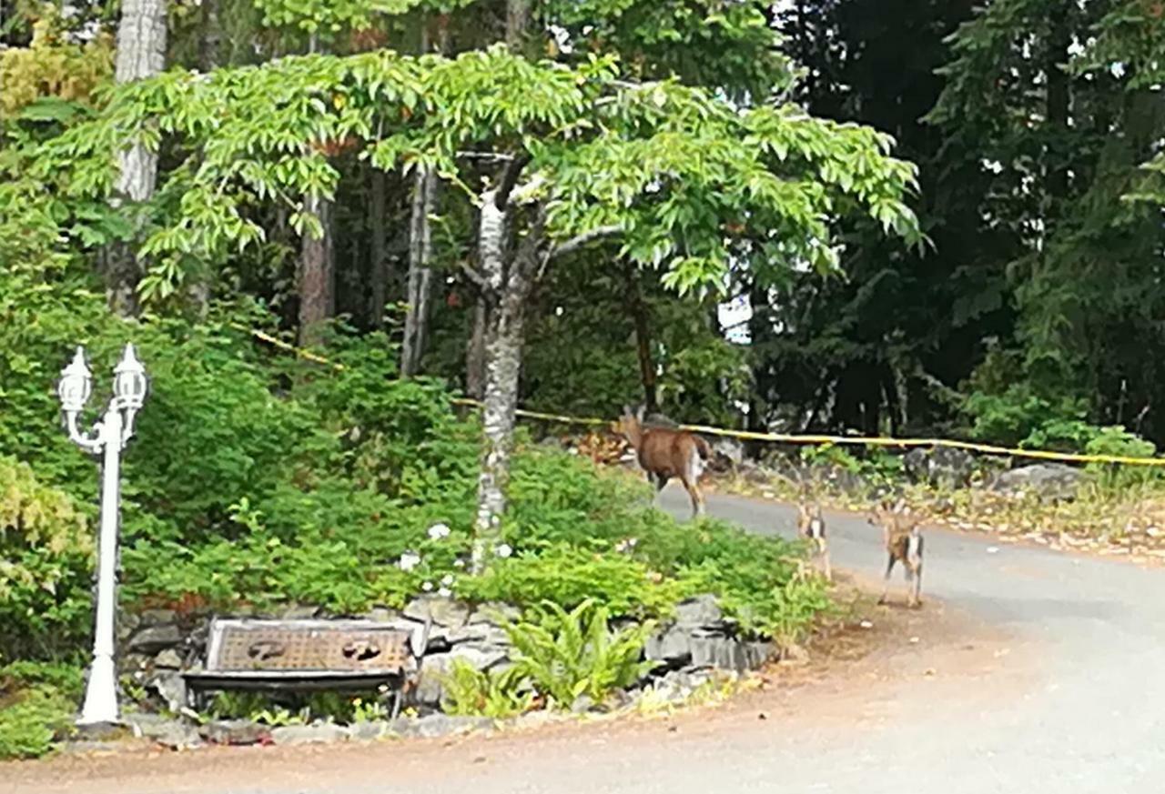Vancouver Island Castle Cove Inn Chemainus Eksteriør bilde