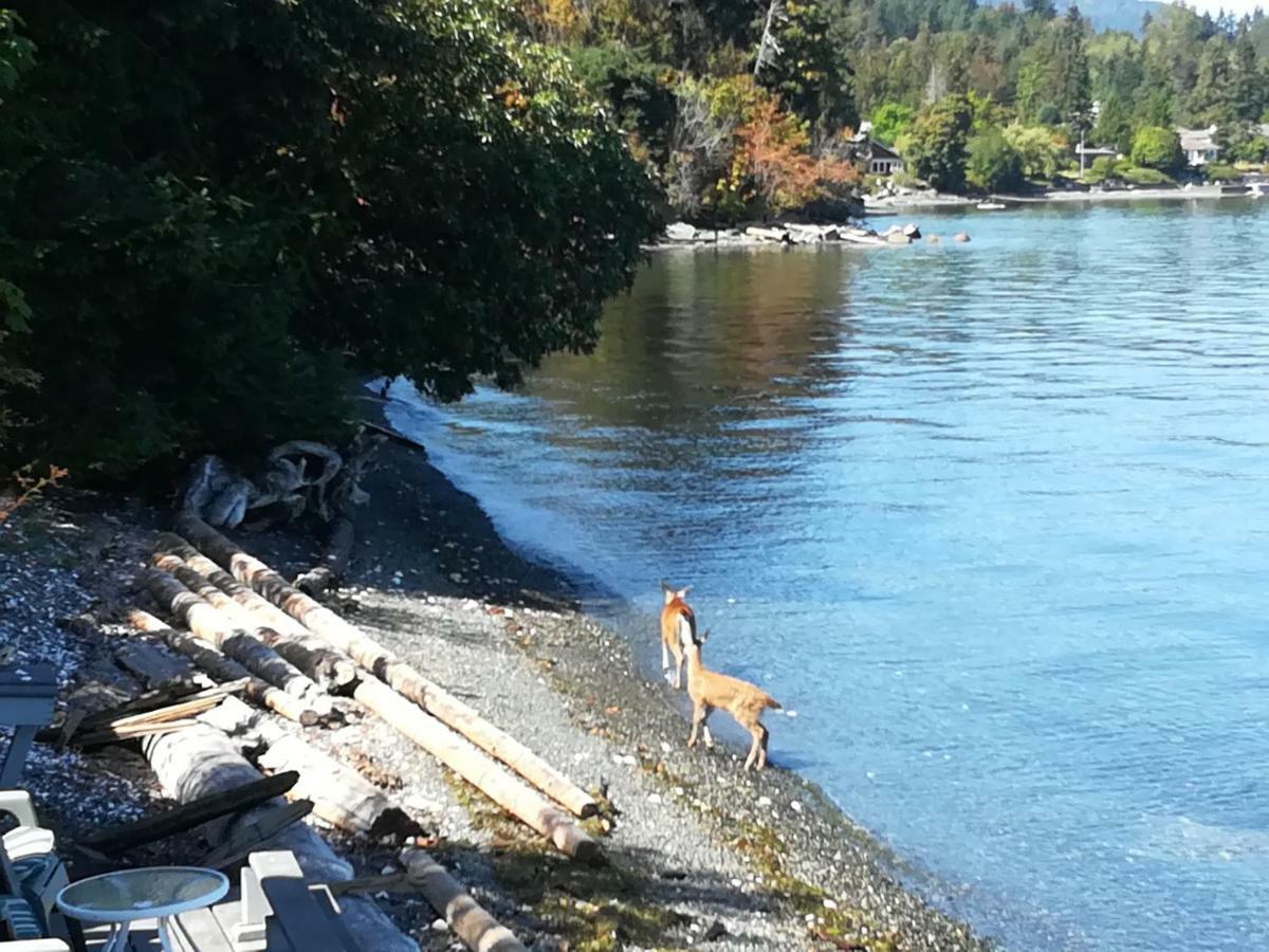 Vancouver Island Castle Cove Inn Chemainus Eksteriør bilde